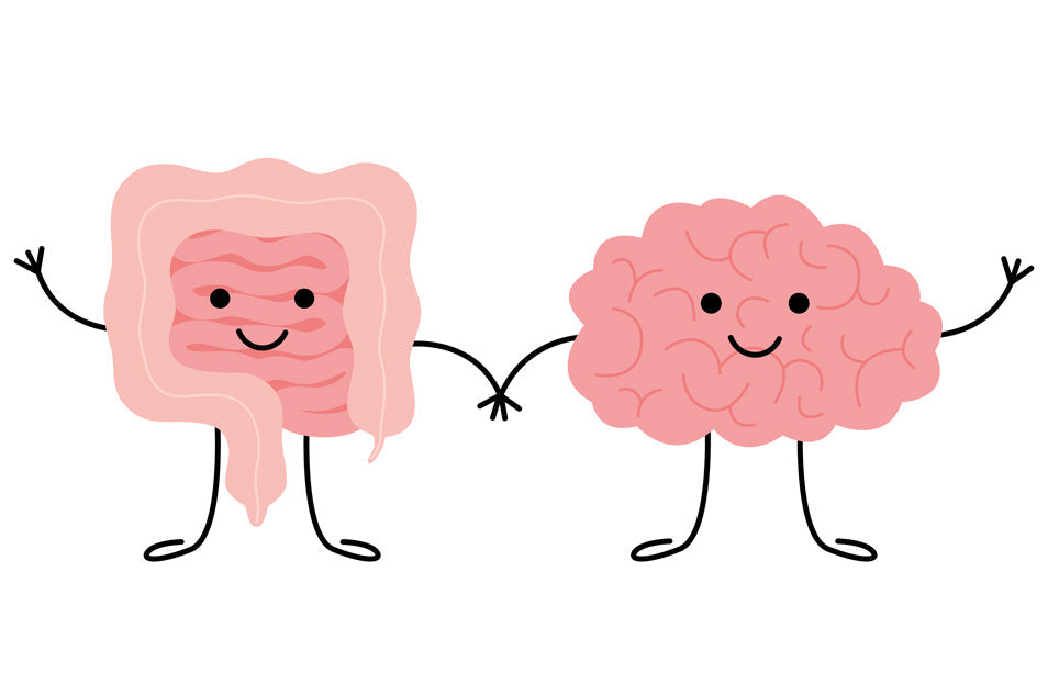 How To Support Your Gut Health For Happy Hormones
