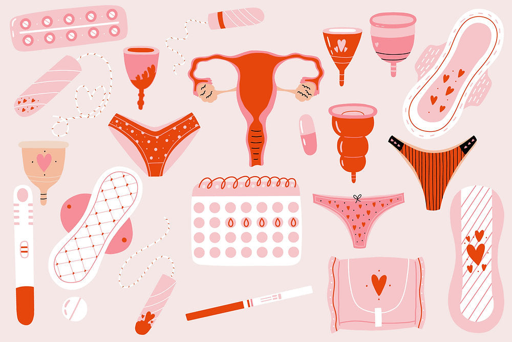 Your Menstrual Cycle Is More Than Your Period