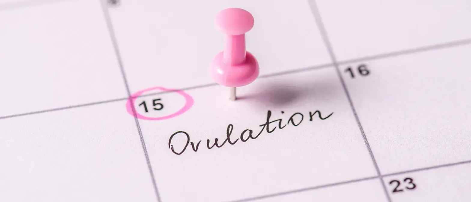 How does knowing my ovulation window help me?
