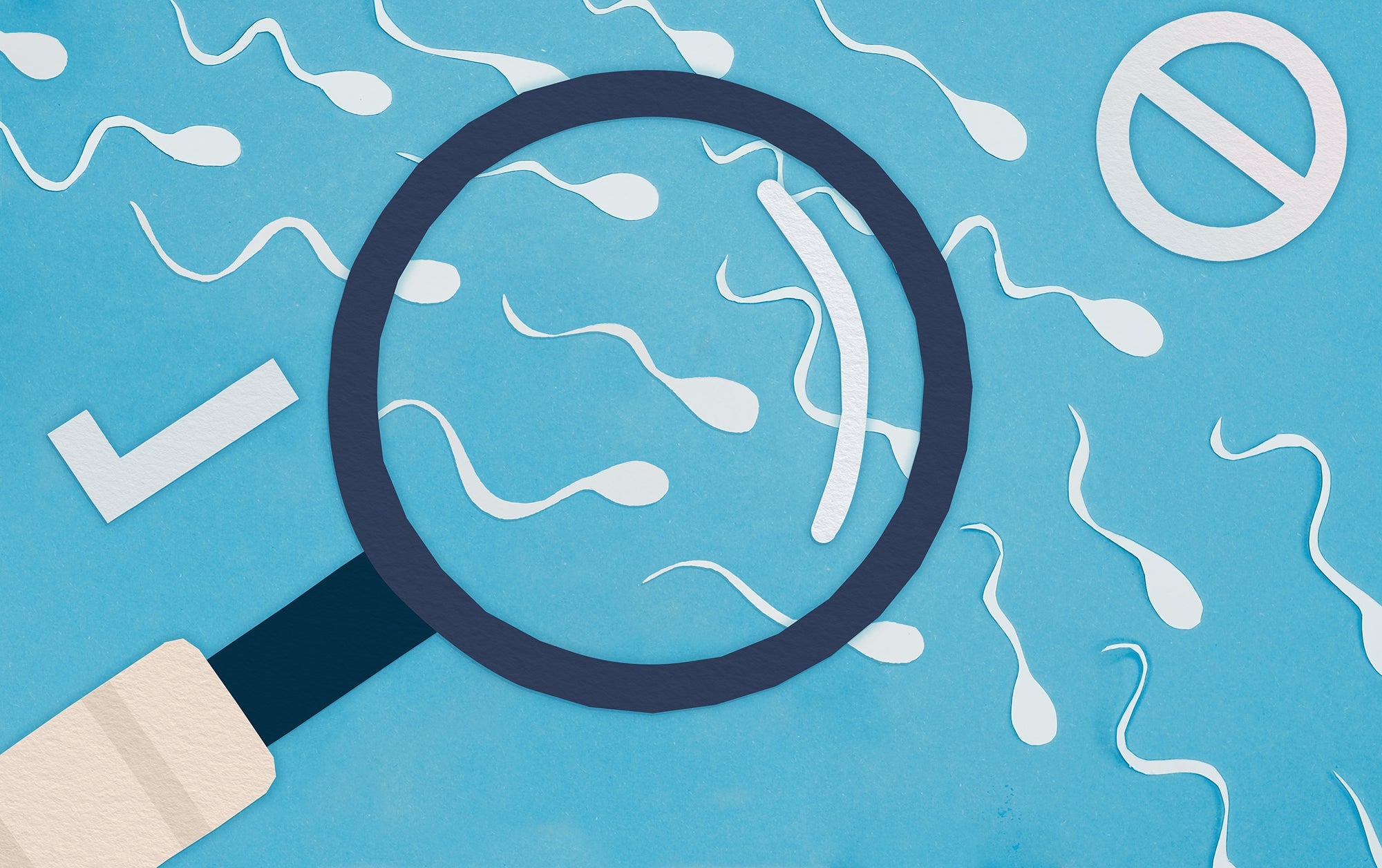 Male Fertility – How To Support The Swimmers