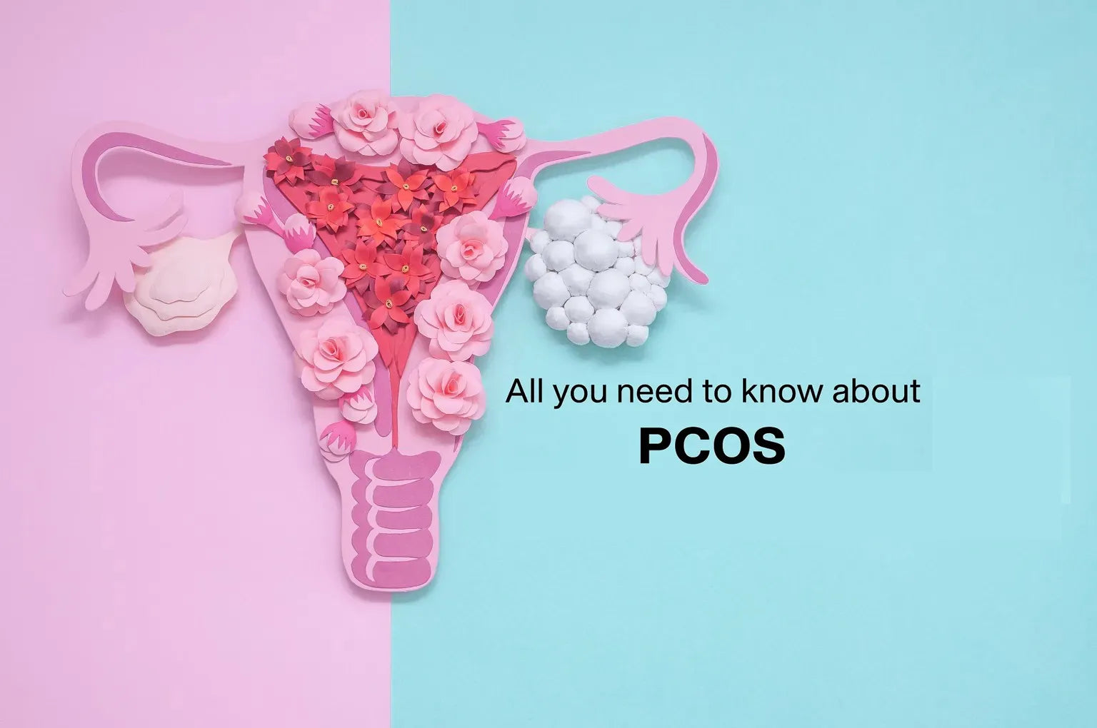 PCOS Guide