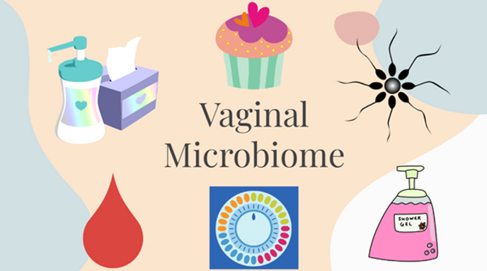 Your Vaginal Microbiome